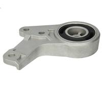 Supporto, Radiatore LEMA 2303.13 per SCANIA T 11.705 2004-2005