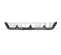 PRASCO Supporto Radiatore Anteriore Inferiore per FIAT punto 188 dal 1999 - 2012