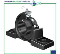 Supporto Ritto In Ghisa Con Cuscinetto Serie UCP