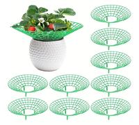 Supporto salvaspazio per fragole per un uso efficiente nel tuo giardino