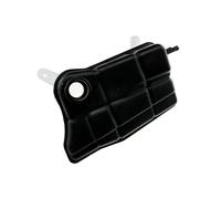 NTY Serbatoio compensazione, Refrigerante compatibile con FORD CZW-FR-003