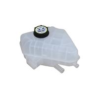 Supporto Serbatoio Liquido Refrigerante Ford Fiesta - B-Max - Ecosport 1513111