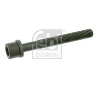 Supporto silenziatore Poligonale incassata 06666 FEBI BILSTEIN per AUDI VW SEAT