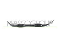 Supporto Sinistro Griglia Radiatore Bmw X5 / E70 2007/2010 Lato Sx 51717159587