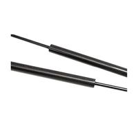 Supporto sollevamento cofano Ammortizzatori Per Cofano Per Fiesta Per ST Per MK8 2017-2023 Anteriore Modificare Aste Pistoni Cilindri Supporto Sollevamento(Black caobon fiber)