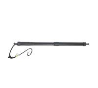 Supporto Sollevamento Portellone Elettrico Per Toyota Per Highlander 2014-2021, Coppia Ammortizzatori A Gas Portellone Posteriore Elettrico 68910-09021/68920-09021 Barra Gas Portellone Posteriore(L)