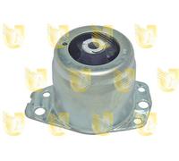 Supporto Sospensione Motore - UNIGOM 395262