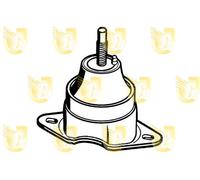 Supporto Sospensione Motore - UNIGOM 395325