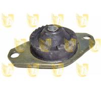 Supporto Sospensione Motore - UNIGOM 395388