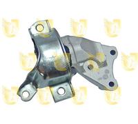 Supporto Sospensione Motore - UNIGOM 395453