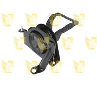 Supporto Sospensione Motore - UNIGOM 395456