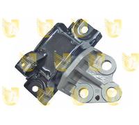Supporto Sospensione Motore - UNIGOM 395465
