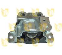 Supporto Sospensione Motore - UNIGOM 395473
