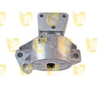 Supporto Sospensione Motore - UNIGOM 395550