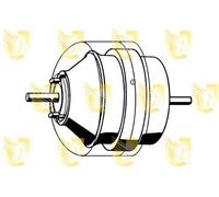Supporto Sospensione Motore - UNIGOM 396201