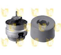 Supporto Sospensione Motore - UNIGOM 396881