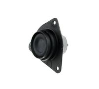 Sospensione, Motore per RENAULT ZPS-RE-059