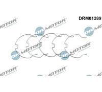 DR.MOTOR AUTOMOTIVE DRM01289 Flessibile aria alimentazione