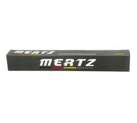 Supporto stabilizzatore Spoiler anteriore 00YD24 MERTZ