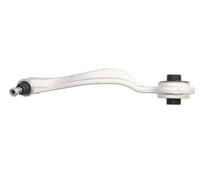 Supporto stabilizzatore Spoiler anteriore RH04-3009 REINHOCH