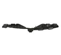 PRASCO RN4302101 Supporto, Griglia radiatore