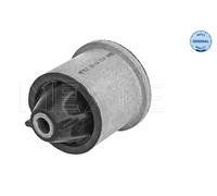 Supporto, Supporto assale Assale posteriore Sx per DACIA RENAULT ARKANA DUSTER K