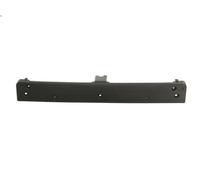 Supporto targa BLIC 6509-01-3517920P per CLASSE S (W220, V220) 5 1998-2003