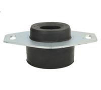 Supporto trasmissione, manuale REINHOCH RH11-2027 per CITROEN DS5 2 2011-2015