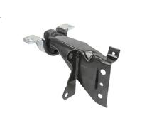 Supporto trasmissione, manuale REINHOCH RH11-2076 per TWINGO I (C06_) 1 2000-