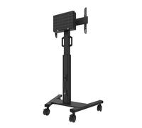 Select Mobile Display Floor