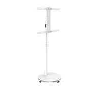 Supporto TV Verticale Supporto TV Mobile Universale For TV A Schermo Piatto, Supporto TV For Conferenze E Fitness In Ufficio Supporto TV A Parete