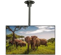 Supporto universale per TV, regolabile, con ruote girevoli, adatto per schermi da 32 a 65 pollici, perfetto per casa, ufficio o spazi di intrattenimento