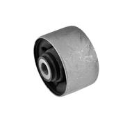 Supporto, Verteilgetriebe Adatto per Dodge Caliber 06 Pajero 00 Lancer