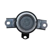 SupportoMotore Sospensione Per DAIHATSU Per PASSO 2004-2010 ENM49063,12305-B1020,12305B1020,12305-B1011,12305B1011,12305B1013,12305B1021Supporto Motore