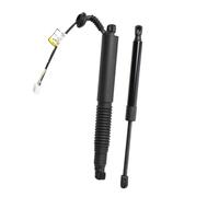 SupportoSollevamento Elettrico 1 Coppia Montanti Portellone Posteriore Elettrico Sinistro Destro 1551488-99-B 1551488-00-C 1551488-98-B 1551489-00-B Per Modello 3 2021-2023
