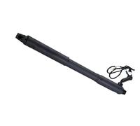 SupportoSollevamento Elettrico 1 Pz Supporto Ammortizzatore Per Portellone Posteriore Sinistro/posteriore Per BMW X5 E70 2007-2013 51247332695(Lh)