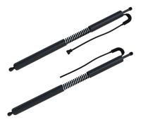 SupportoSollevamento Elettrico 51247298983 Supporto Sollevamento Portellone Elettrico Per BMW Serie 3 GT F34 2012-2016 Coppia Di Ammortizzatori Portellone Posteriore Elettrico(Pair)