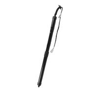 SupportoSollevamento Elettrico 68910-79017 AZ10 Supporto Sollevamento Portellone Elettrico Per Lexus NT200 NX300H NX300 2017-2021 Ammortizzatori Portellone Posteriore Elettrico(Rh)