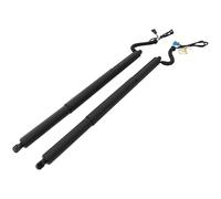 SupportoSollevamento Elettrico Per BMW X3 F25 18i 20i 28i 35i 2010-2017 Ammortizzatore Portellone Posteriore Elettrico Posteriore 51247232003 51247232004 51247432742 51247432741(Pair)