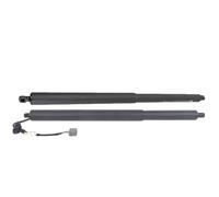 SupportoSollevamento Elettrico Supporto Per Portellone Posteriore Elettrico Per Ford Per Explorer 2016 2017 2018 2019 Ammortizzatore Per Portellone GB5Z14B351A GB5Z78406A10A(Pair)