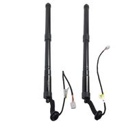 SupportoSollevamento Elettrico Supporto Sollevamento Portellone Elettrico Per Lexus NT200 NX300H NX300 2017-2021 Ammortizzatori Portellone Elettrico 68920-79017 68910-79017 AZ10