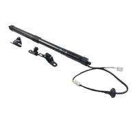 SupportoSollevamento Elettrico Supporto Sollevamento Portellone Posteriore Elettrico Per Toyota Per RAV4 2013-2018 6891009010 Ammortizzatori Portellone Posteriore Elettrico(Lh)