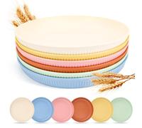 SUPRROW 6 piatti di plastica riutilizzabili, piatti da campeggio, piatti in plastica, piatti da picnic, 23 cm, grandi piatti in melamina, lavabili in lavastoviglie, per esterni, feste, casa, viaggi