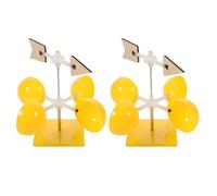 SUPVOX 2 indicatori meteorologici fai da te sul vento, kit per esperimenti sul vento, giocattoli per lo sviluppo della banderuola, giocattoli educativi STEM per esperimenti scientifici in classe