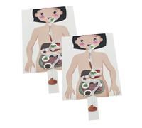 SUPVOX 2 set Apparato Digerente DIY per Ragazzi e Ragazze Kit Educativo Anatomia Umana Materiale Manuale per Apprendimento Interattivo e