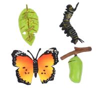 SUPVOX 3 set Modelli Evolutivi Farfalle Realistici Giochi Educativi per Kit Apprendimento Ciclo Decorazioni Creative per Cameretta e Scuola