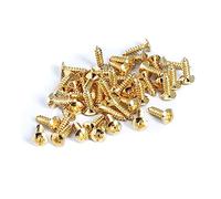 SUPVOX 50pezzi Viti Battipenna Chitarra Elettrica e Basso Sostituzione Facile Per Cover Plate e Jack