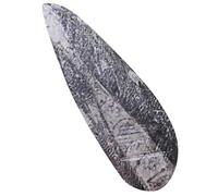 SUPVOX Campione Di Fossile Orthoceras Paleontologia, Esemplare Didattico Per Aula e Decorazione Casa, Strumento Educativo Per Ragazzo Ragazza Appassionati Di Antico Oceano