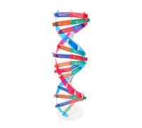 SUPVOX Dna Didattico Autocostruibile per Giocattolo Scientifico Educativo con Dettagli Strutturali Aiuto per Apprendimento Biologia e Genetica in Scuola Media e Professionale