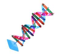 SUPVOX Kit Didattico Dna Struttura Doppia Spirale Leggero e Liscio per Scuola Media e Superiore Aiuto Insegnamento Biologia e Studio Geni Umani Materiale Scientifico per Esperimenti